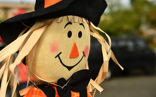 happy scarecrow for pumpkin patch at prior creek farms